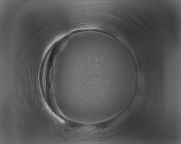 X0000085830797200703161322