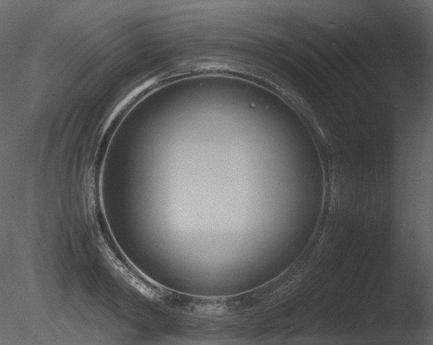 X0000085830798200703161322