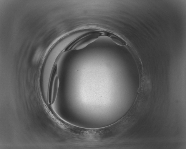 X0000085830799200703161322