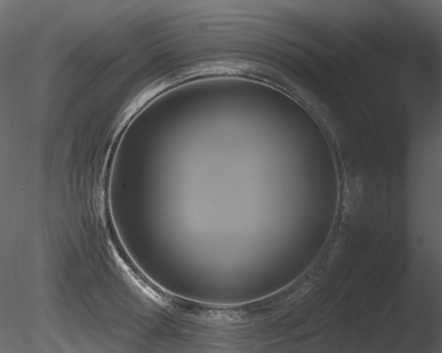 X0000085830802200703161322