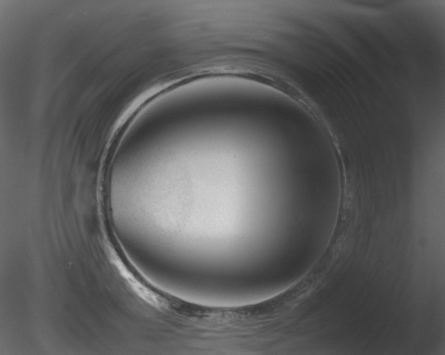 X0000085830803200703161322