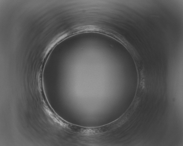 X0000085830806200703161322