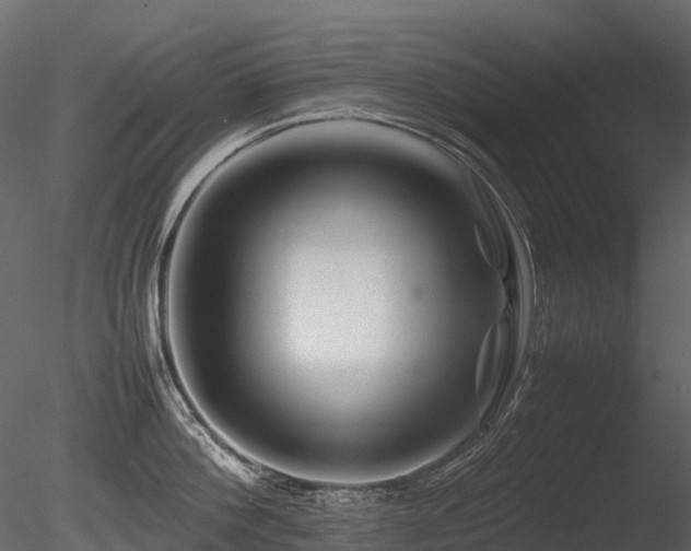 X0000085830812200703161322
