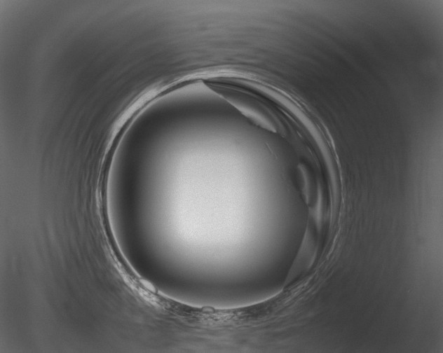 X0000085830813200703161322