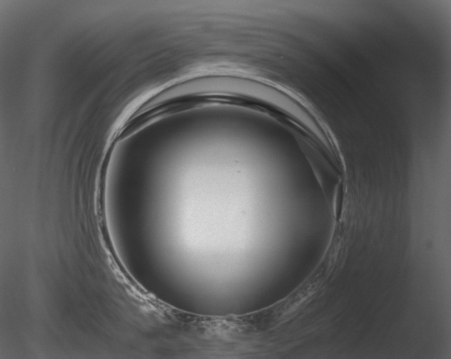 X0000085830815200703161322
