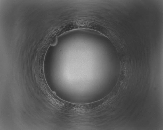 X0000085830817200703161321