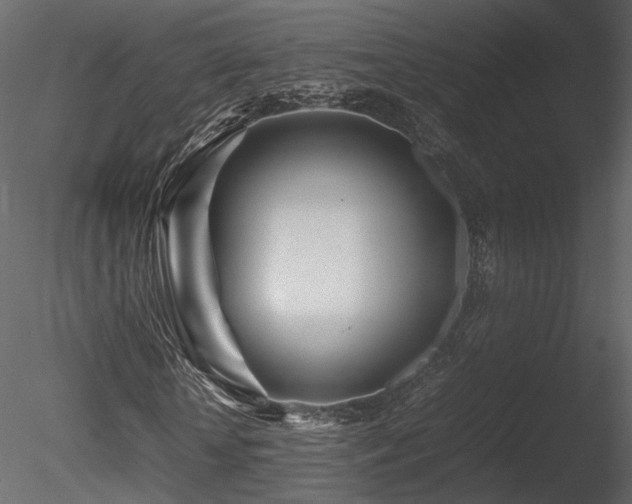 X0000085830818200703161321