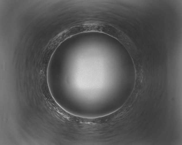 X0000085830821200703161321