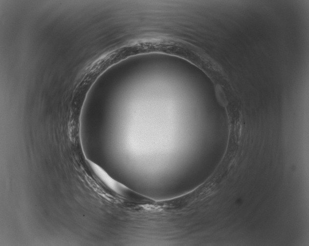 X0000085830822200703161321