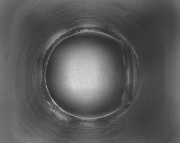 X0000085830829200703161321