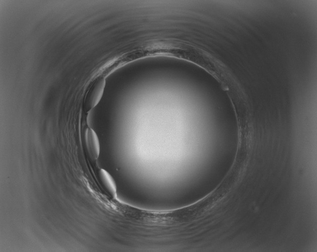 X0000085830833200703161321