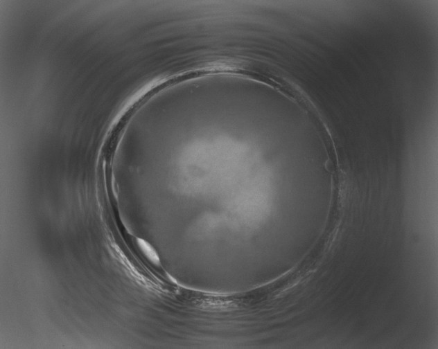 X0000085830835200703161321