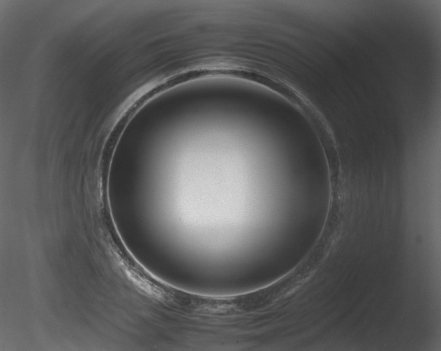 X0000085830837200703161321