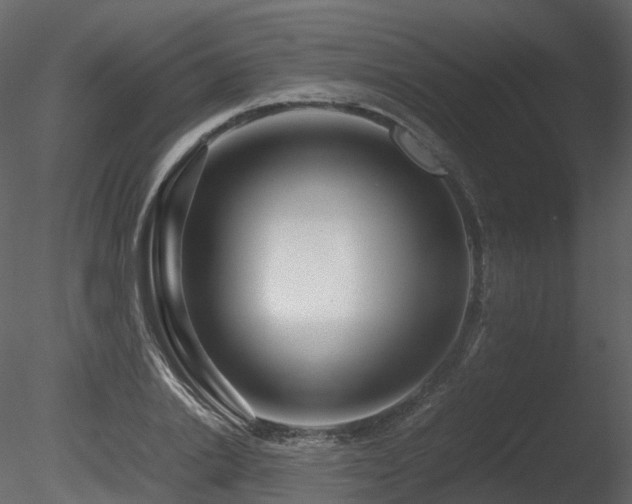 X0000085830838200703161321