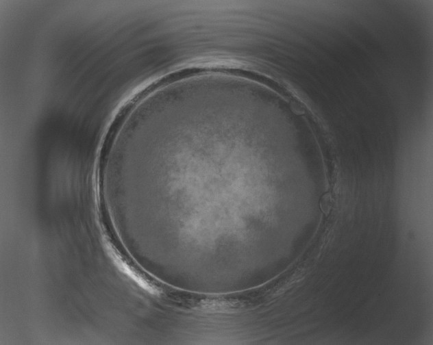 X0000085830840200703161322