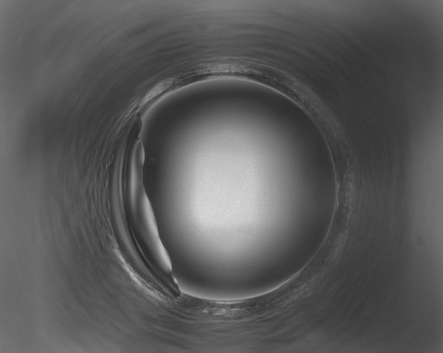 X0000085830841200703161322