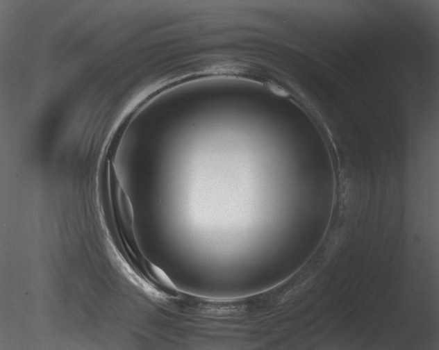 X0000085830843200703161322