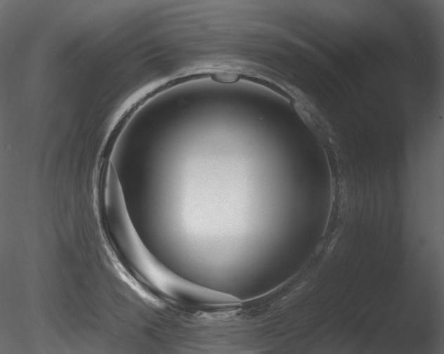 X0000085830846200703161322