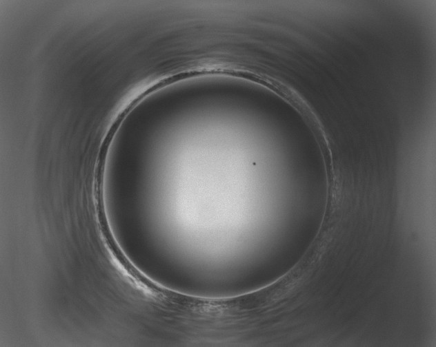 X0000085830847200703161322