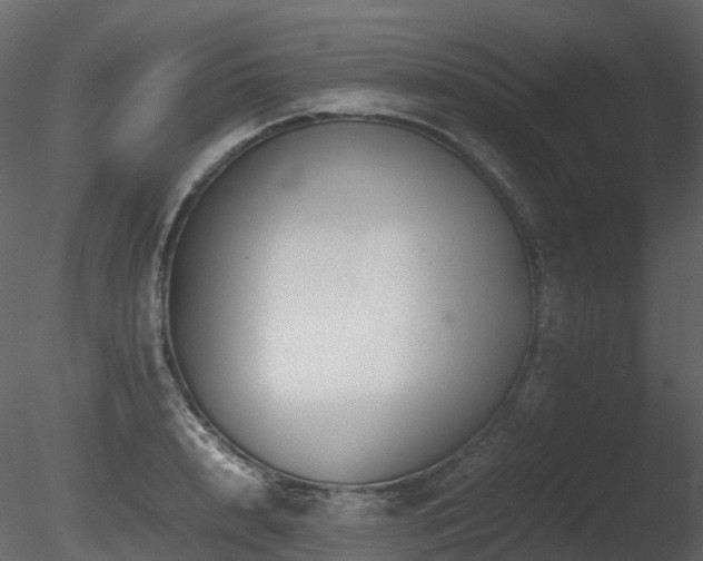 X0000085830848200703161322