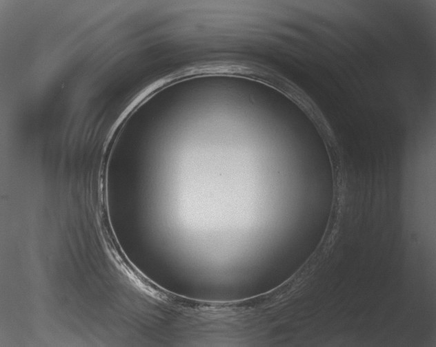 X0000085830852200703161322