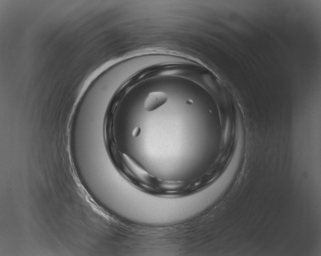 X0000085830854200703161322