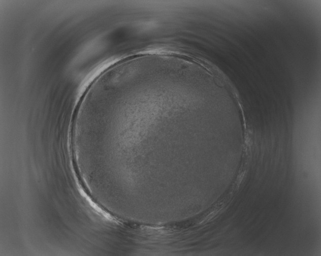 X0000085830855200703161322