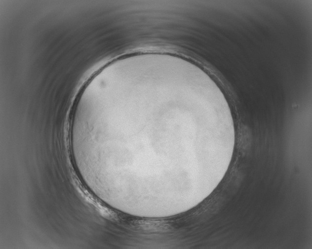 X0000085830856200703161322