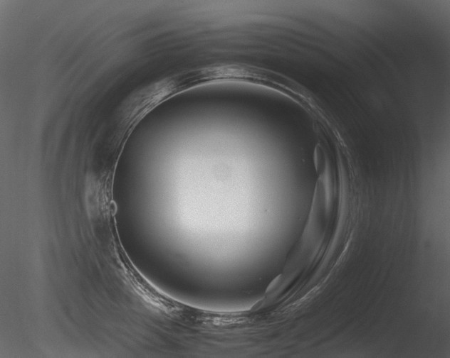 X0000085830857200703161322