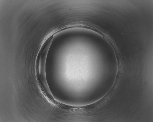 X0000085830858200703161322