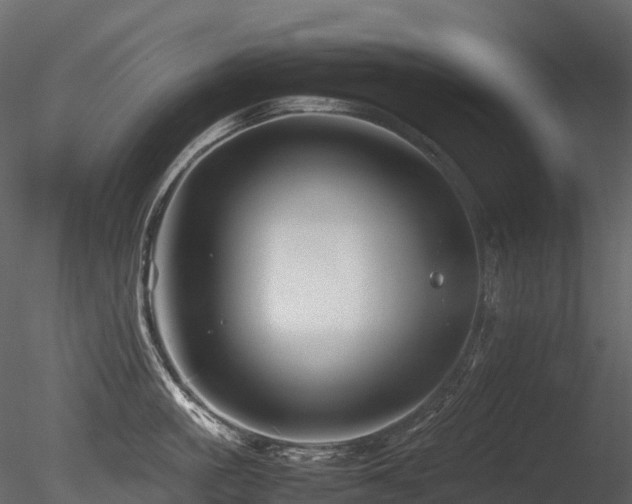X0000085830861200703161322