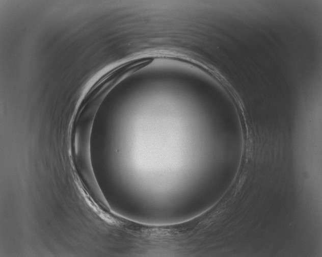 X0000085830862200703161322