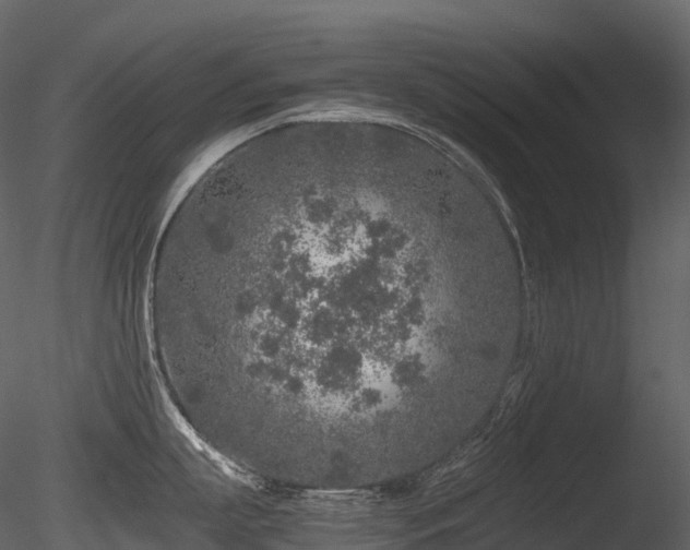 X0000085830863200703161322
