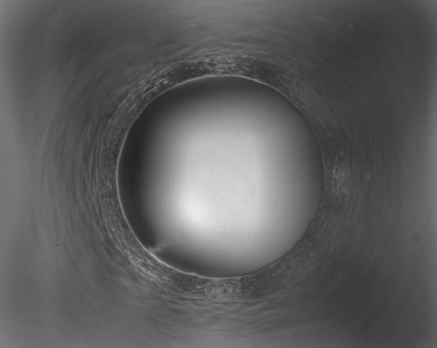 X0000085830865200703161321