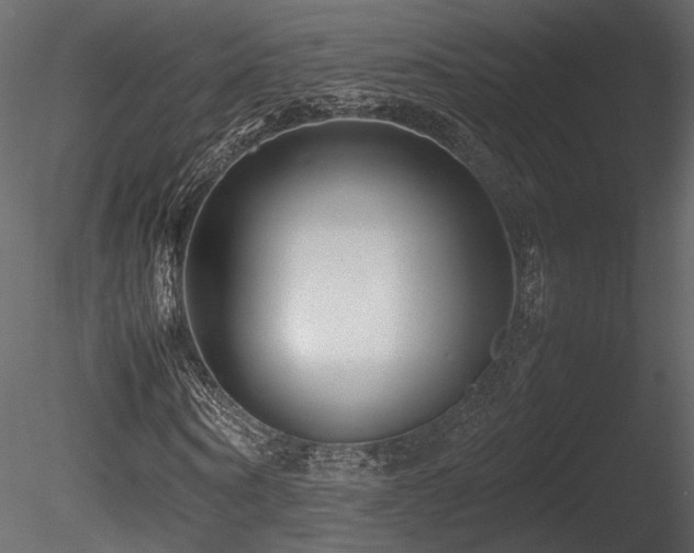 X0000085830866200703161321