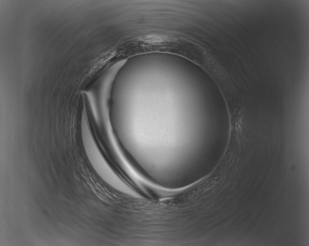 X0000085830868200703161321