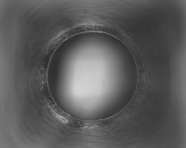 X0000085830870200703161321