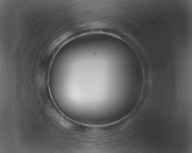 X0000085830873200703161321
