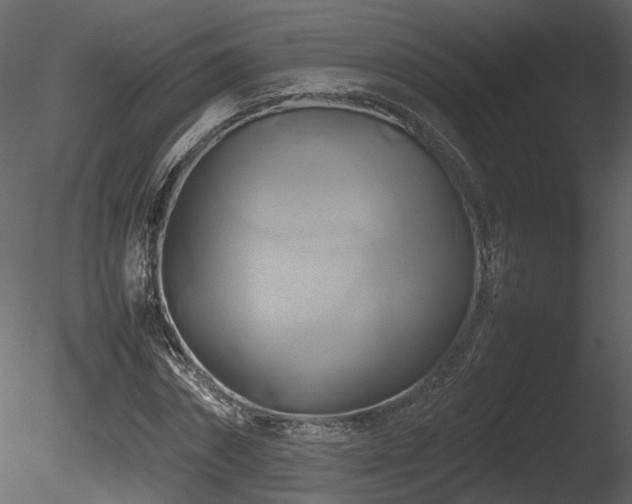 X0000085830874200703161321