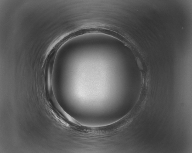 X0000085830877200703161321