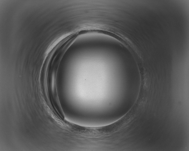 X0000085830885200703161321