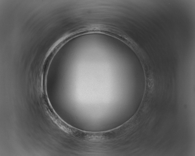 X0000085830886200703161321