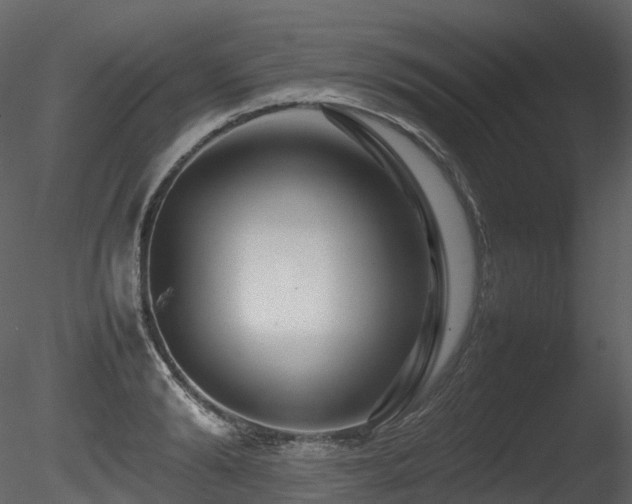 X0000085830894200703161321