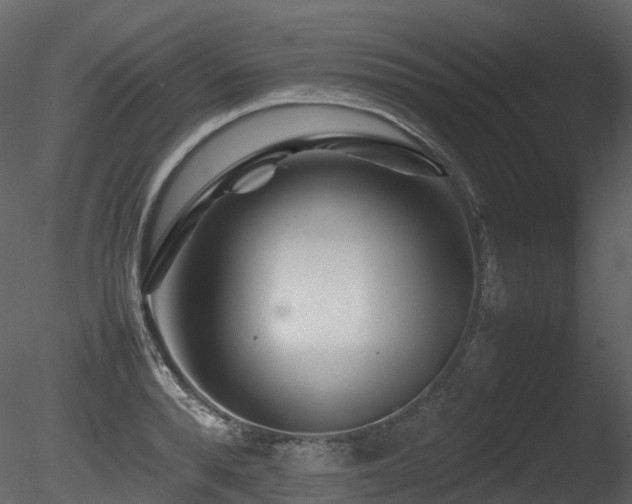 X0000085830896200703161321