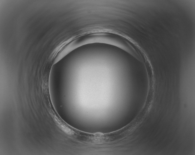X0000085830897200703161321