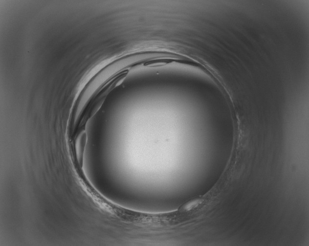 X0000085830901200703161320
