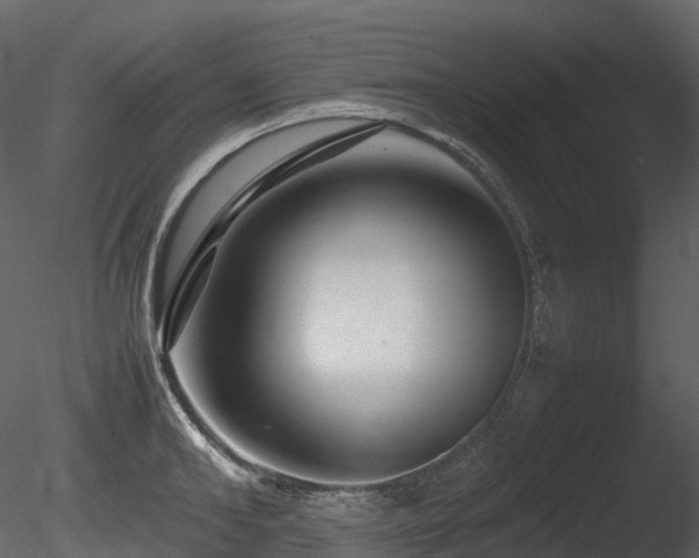 X0000085830902200703161320