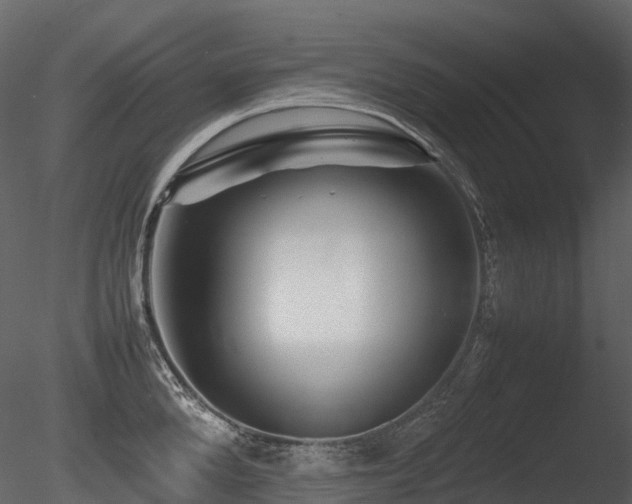 X0000085830904200703161320