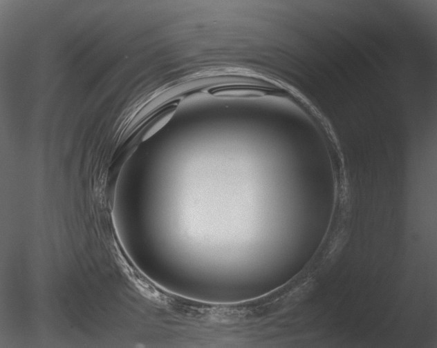X0000085830905200703161320