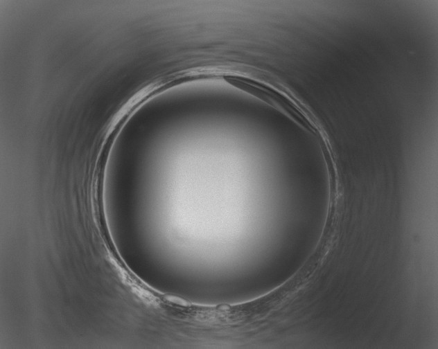 X0000085830909200703161320